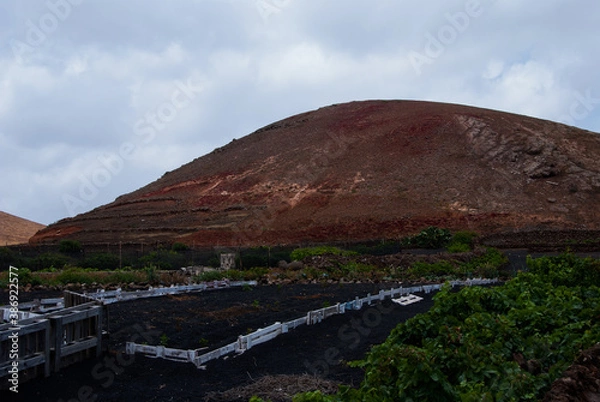 Fototapeta Lanzarote