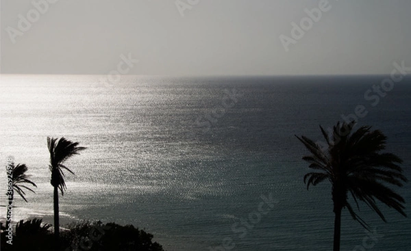 Fototapeta Lanzarote