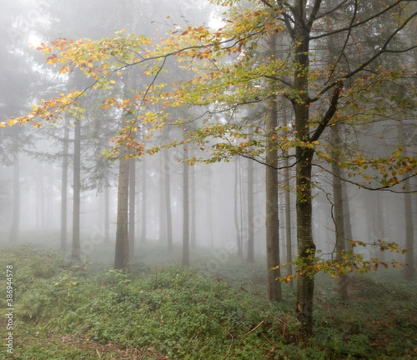 Obraz kalt und doch warm