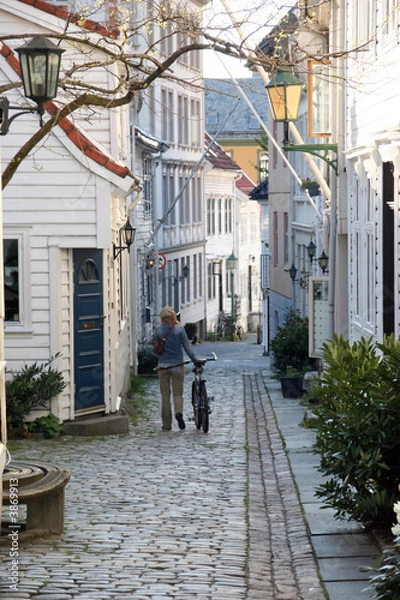 Fototapeta a girl with a bicycle
