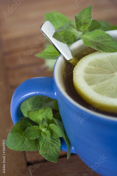 Fototapeta mint tea with lemon