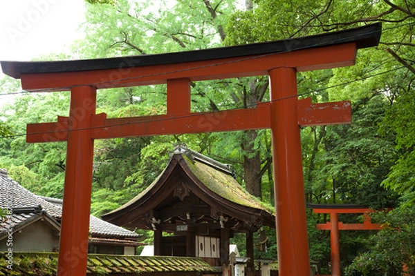 Fototapeta 河合神社の鳥居と山門