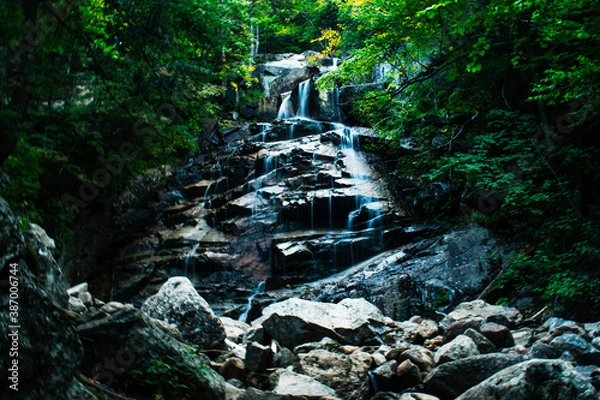 Obraz waterfall in the forest