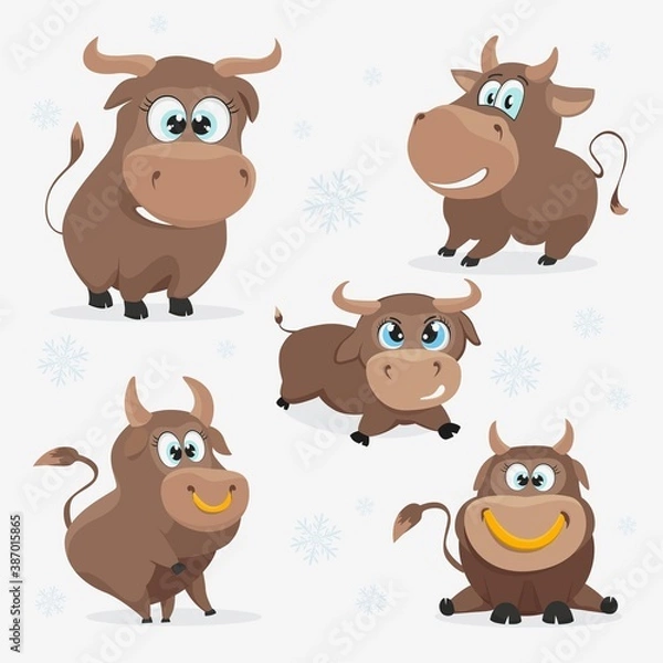Fototapeta Collection of new year vector bulls to create a design. Funny Christmas bull.