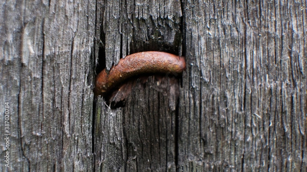 Obraz Texture of an old wooden board with a staple. texture background
