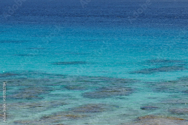 Fototapeta 南の島の青い海