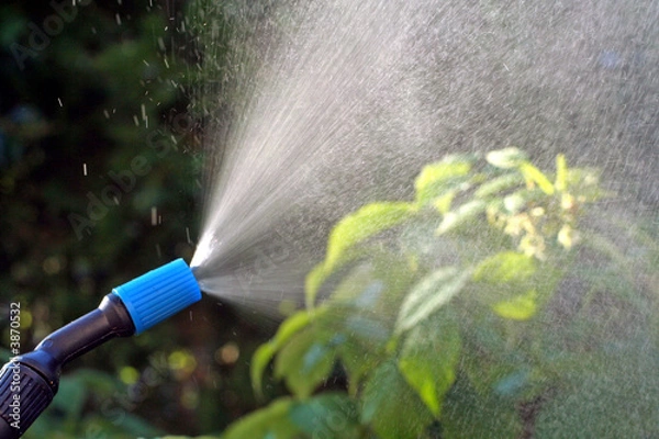 Obraz pulvérisation