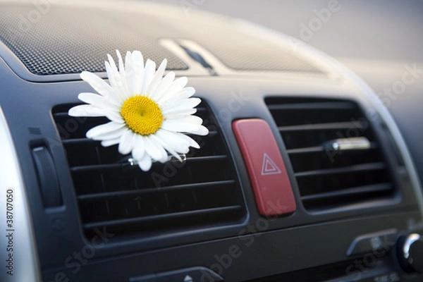 Obraz Car conditioning