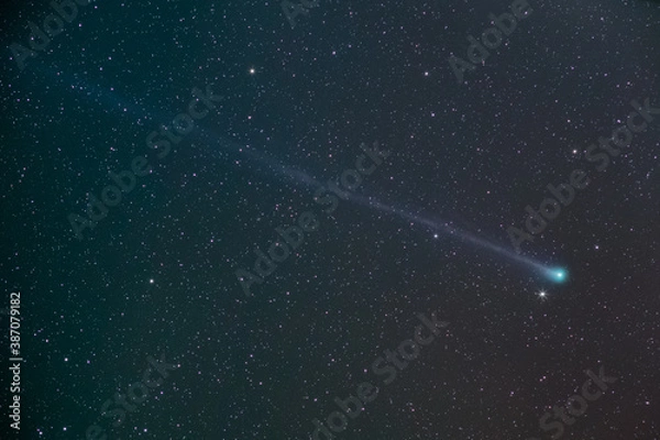 Obraz C2020 F8 Comet Swan