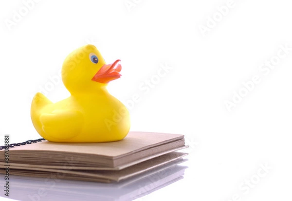 Fototapeta spiral craft notebook for business concept with duck on white background
