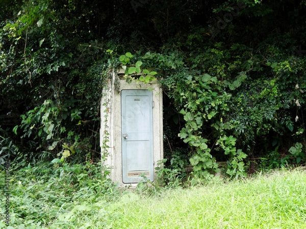 Fototapeta 山の中のトイレ