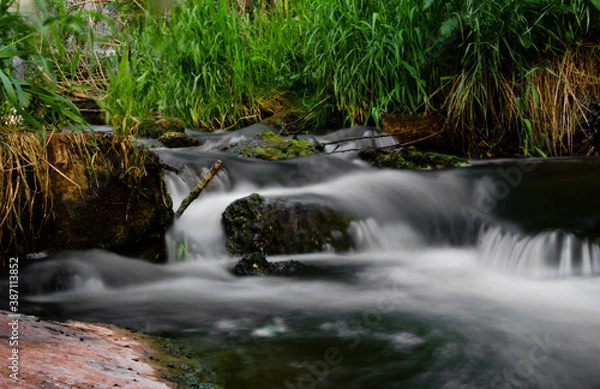 Obraz waterfall in the forest