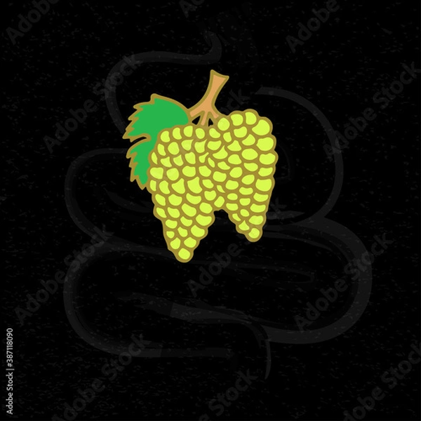 Obraz Winemaking grape green