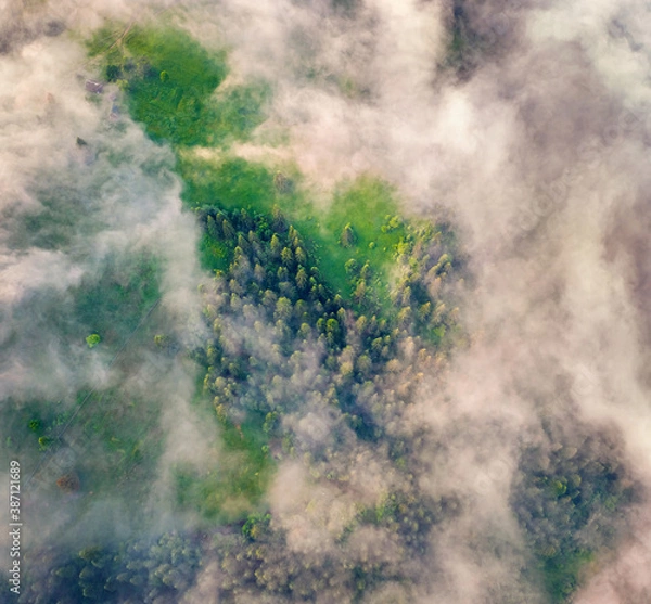 Fototapeta Flying above the clouds on drone. Straight down view of mountain forest. Foggy morning scene of Carpathians, Ukraine, Europe. Beauty of nature concept background..