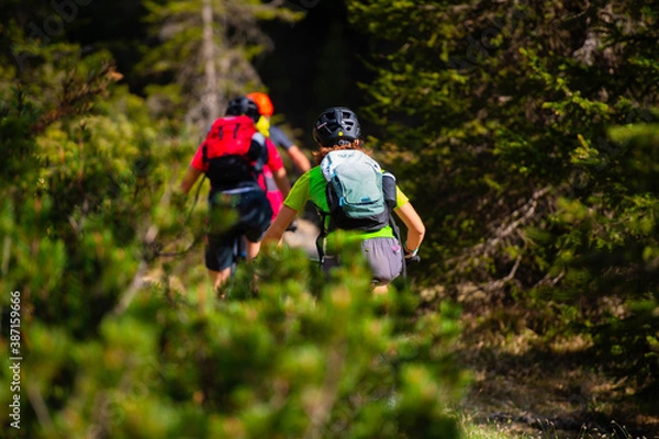 Obraz ciclismo autunno