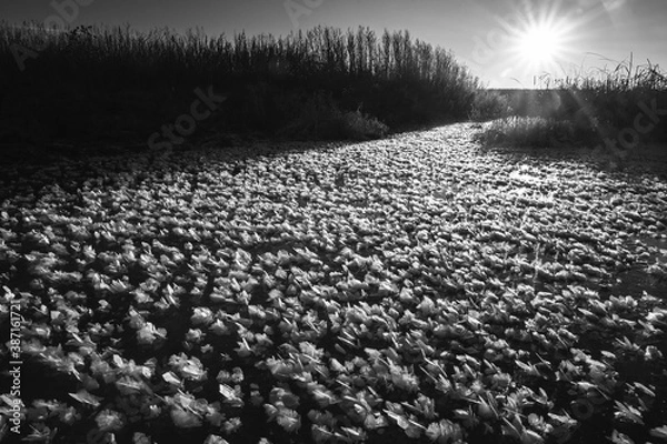 Obraz Abstraction black and white background for card and design. ice and snow