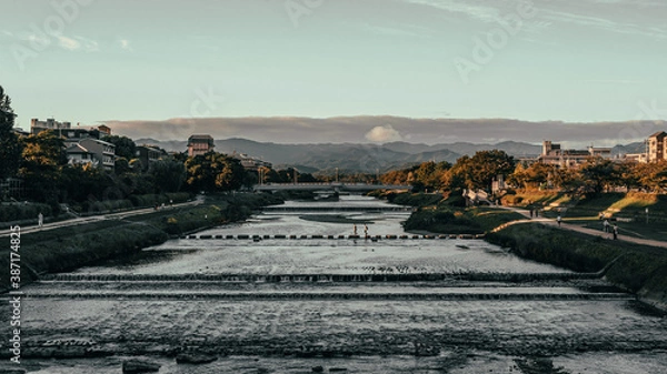Fototapeta 鴨川　夕焼け