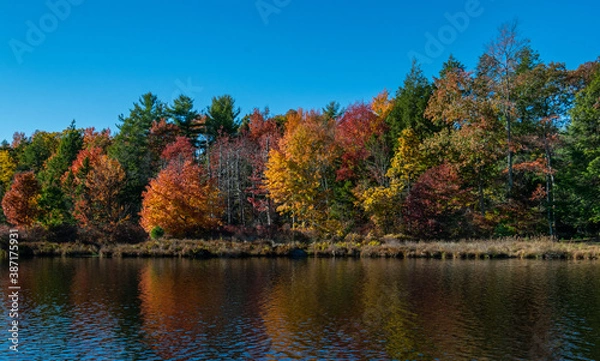Fototapeta autumn in the mountains