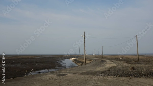 Obraz 海辺に並ぶ電柱