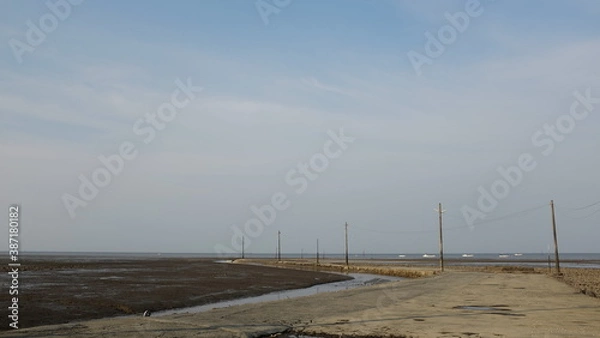 Obraz 海辺に並ぶ電柱