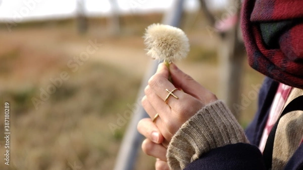 Obraz たんぽぽを握る女性の手