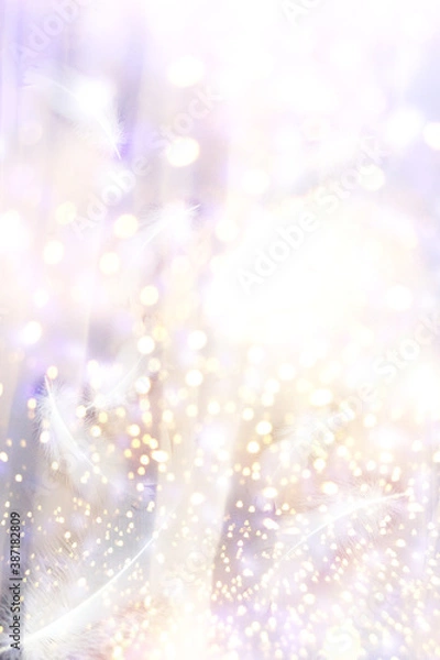 Fototapeta 安らぎの光