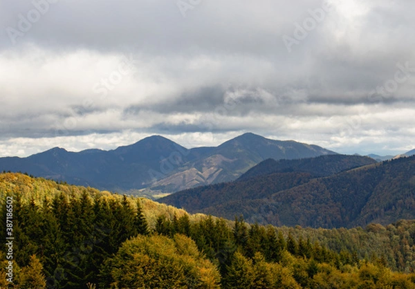 Obraz Green Spring Slovakia mountain nature landscape with sun
