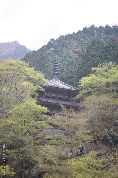 Obraz 高源寺三重塔