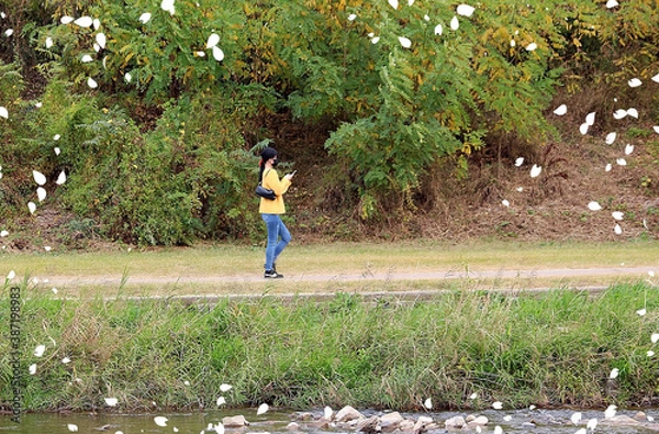 Fototapeta 폰보며 산책