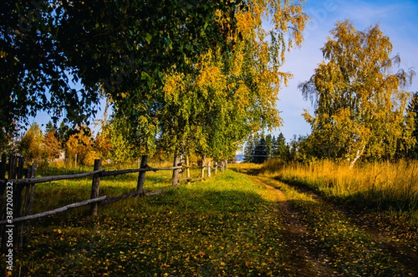 Obraz autumn landscape with trees