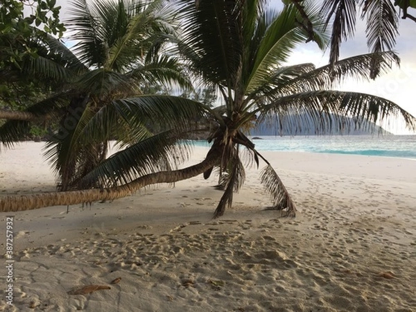 Fototapeta Beach in Seychelles