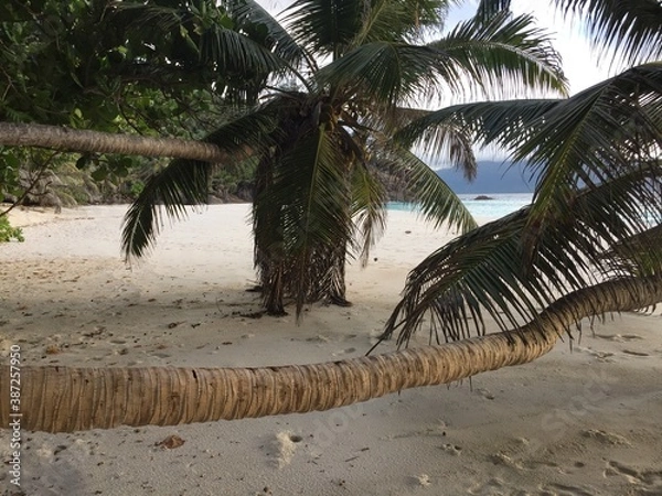 Fototapeta Beach in Seychelles