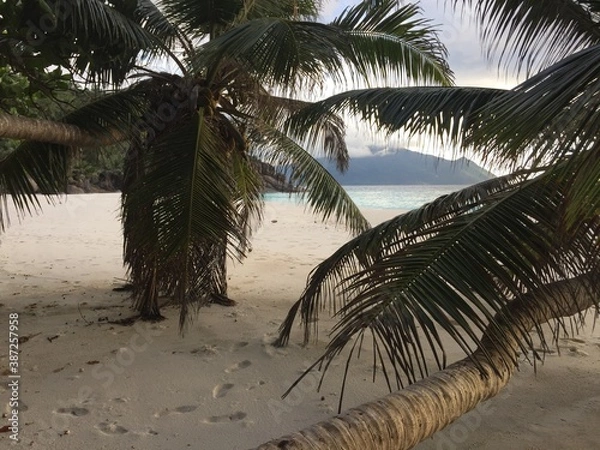 Fototapeta Beach in Seychelles