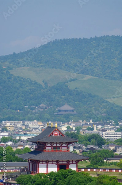 Obraz 平城宮跡と奈良市街
