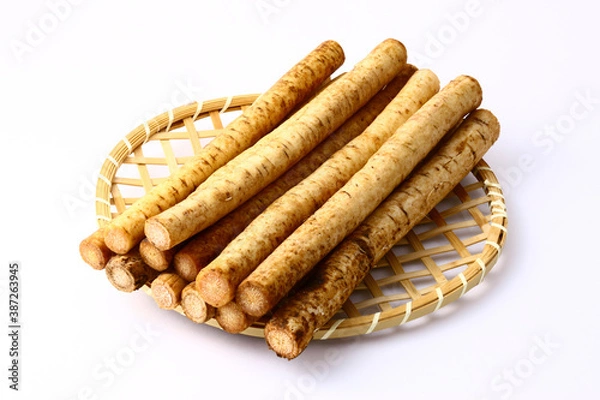 Fototapeta ゴボウ