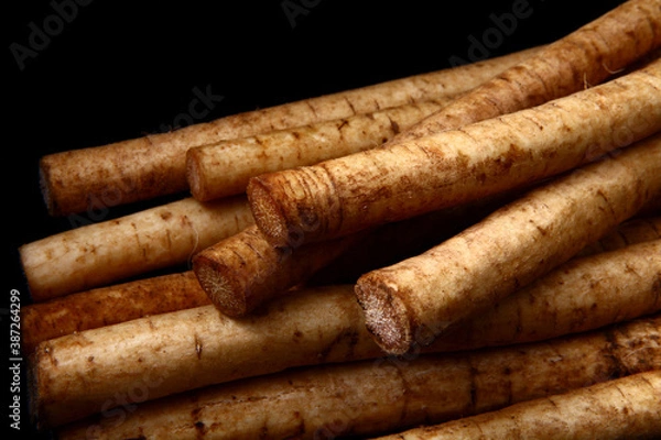 Fototapeta ゴボウ