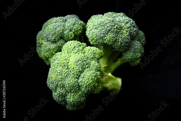 Fototapeta ブロッコリー