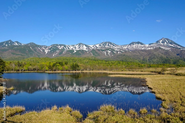 Fototapeta 初夏の知床五湖（北海道・知床）