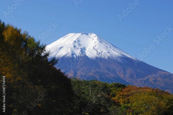 Fototapeta 秋の富士