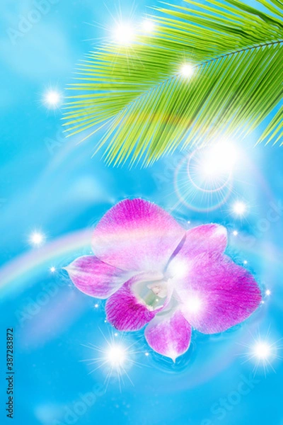 Fototapeta ランの花