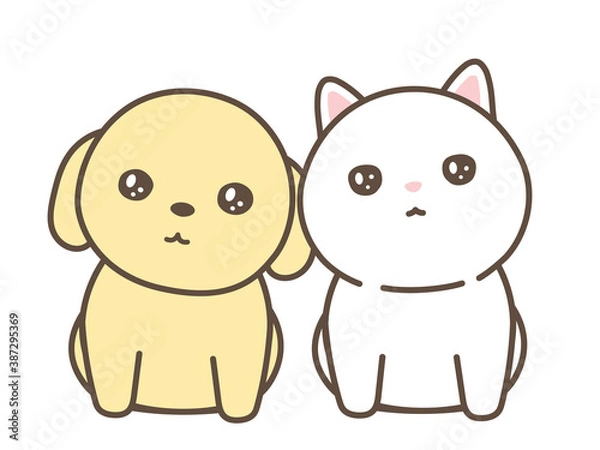 Fototapeta 子犬と仔猫　整列　白背景　