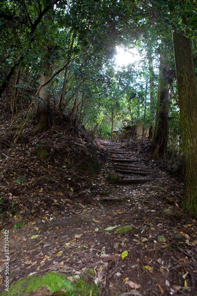 Fototapeta 薬王坂