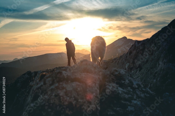 Obraz Silueta de una persona con su perro en la montaña al atardecer