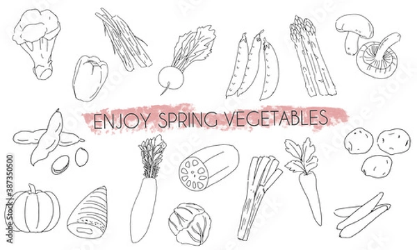 Obraz 野菜　シンプル　アイコンセット