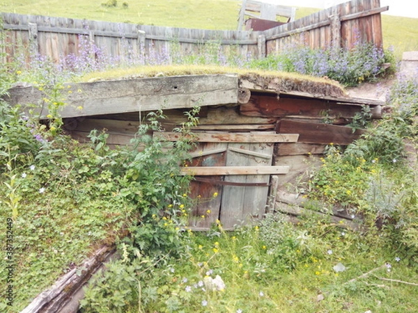 Obraz Old Altai dugout