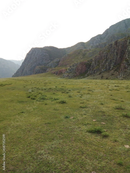 Obraz Gopher alone in the field