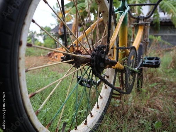 Obraz bicycle wheel in the park