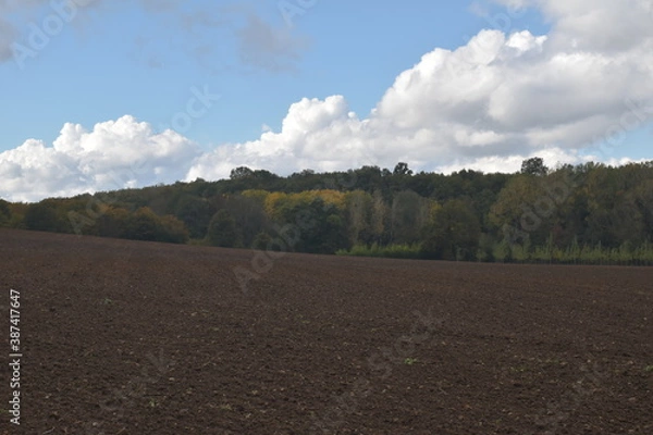Obraz landscape with road