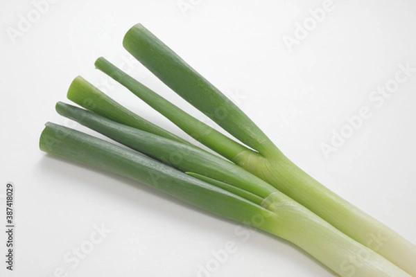 Fototapeta 白ネギ