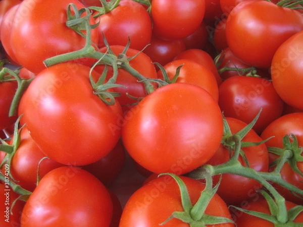 Obraz tomates en grappe